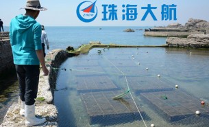 中國鮑魚產業暴漲迷局,重量分選機為您解讀其中的故事