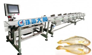 海產業騰飛，始于黃魚分選