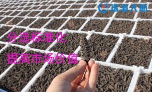 大家都用重量分揀機分選海參了！您還在用人工分選嗎？