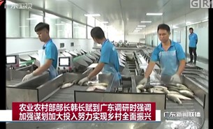 農業農村部部長韓長賦到何氏水產親睹珠海大航活魚分選機的風采