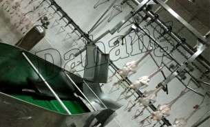 白條鴨重量分選機領域加工行業的技術革新