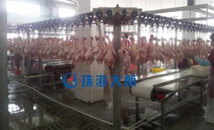 創新：禽肉重量分揀機助力行業轉型升級