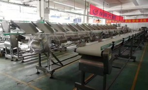 海參捕撈季將至，海參重量大小自動分級秤正緊密備貨中