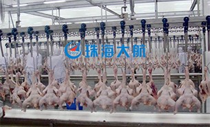 重量分揀設備如何實現整雞分選？