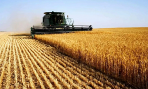 珠海大航農業分選機