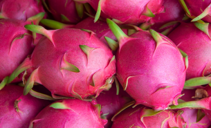 果蔬收獲季節已經來臨! |果蔬|配重分選機