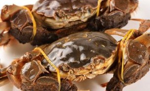 大閘蟹分揀設備 行業報告 -珠海大航大閘蟹分揀設備