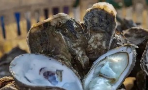 牡蠣自動重量分選機 —— 水產行業的得力助手