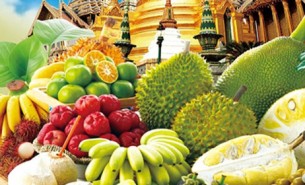 探索水果分揀機如何通過自動化技術在果園、加工廠、保鮮庫及零售環節提高生產效率，降低成本，并確保水果品質滿足市場需求。