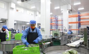 蔬菜配重機：解決人工成本與效率問題，助力蔬菜加工發展