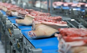 珠海大航配重組合秤在豬蹄加工中的卓越應用