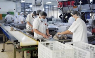 流水線輸送線特點與在線自動稱重系統應用解析