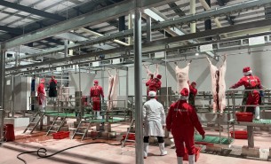 解析自動檢重秤組合多頭秤在豬肉及小重量產品中的創新應用