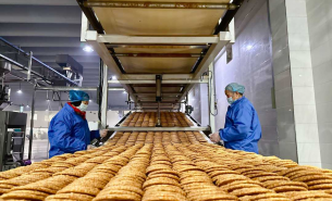 了解餅干配重機如何實現精準配重及自動化輸送，提升餅干生產效率