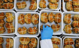 探索青蟹重量分選機如何實現青蟹精準重量分選及產業價值