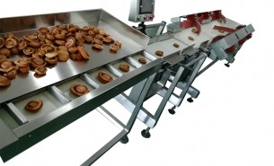 探究珠海大航重量分選機省時省力省人工的奧秘