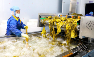 珠海大航腌制食品配重機，精準配重保障品質