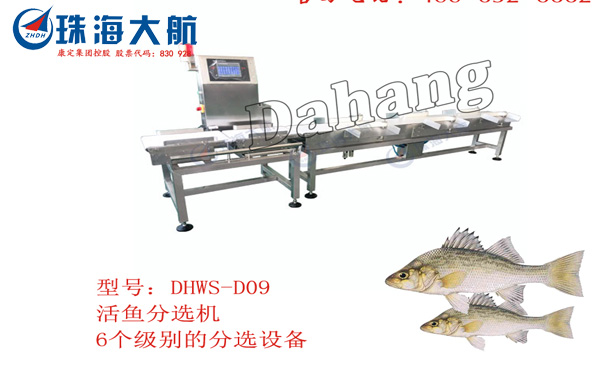 重量分選機助力水產行業設備發展.jpg
