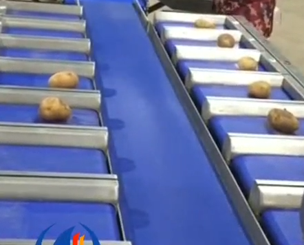 果蔬定量配重包裝機:社區團購固定重量果蔬分揀包裝機視頻